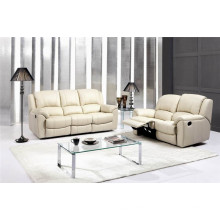 Wohnzimmer Echtes Leder Sofa (575)